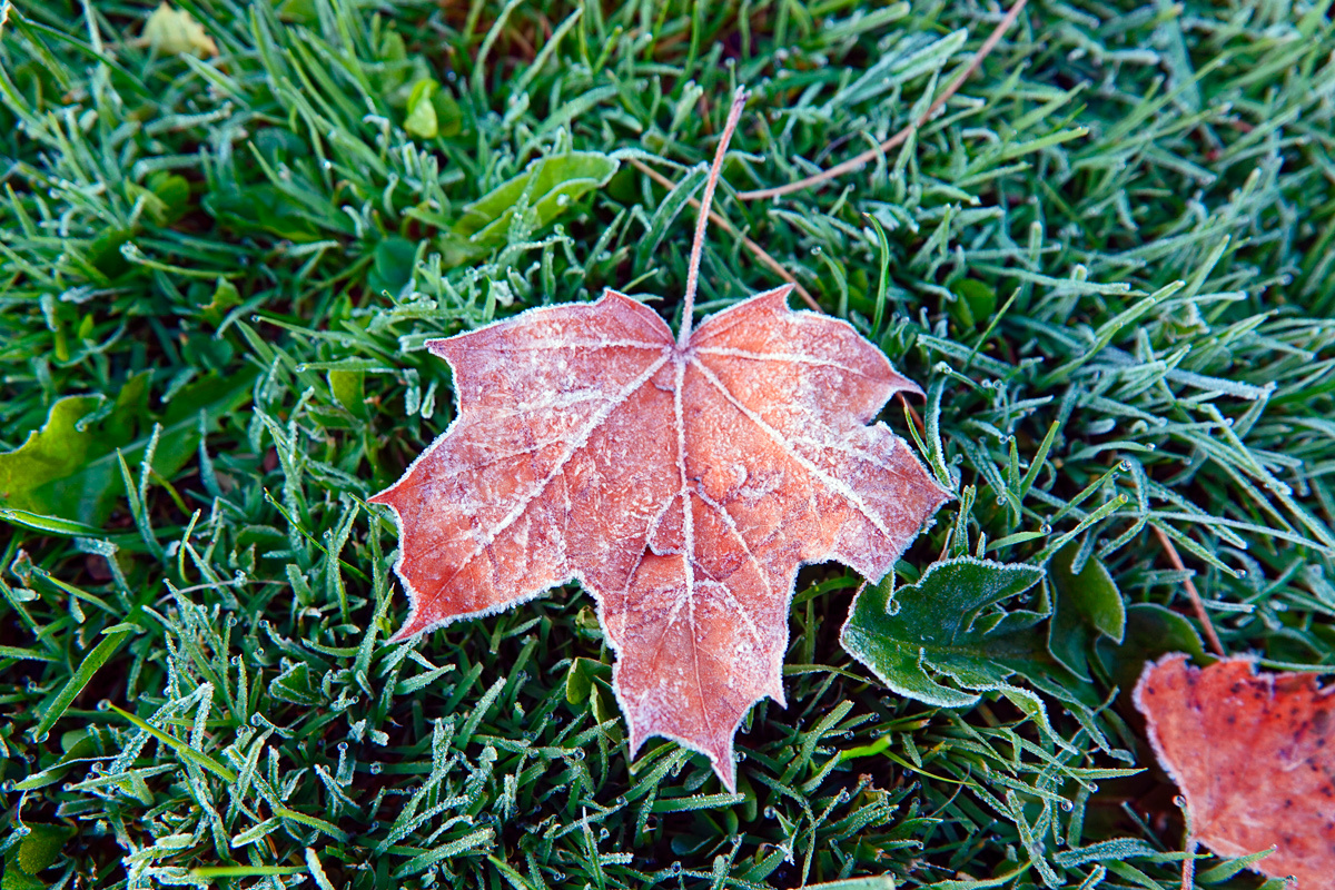    Фото: DoreenB Photography / Shutterstock.com