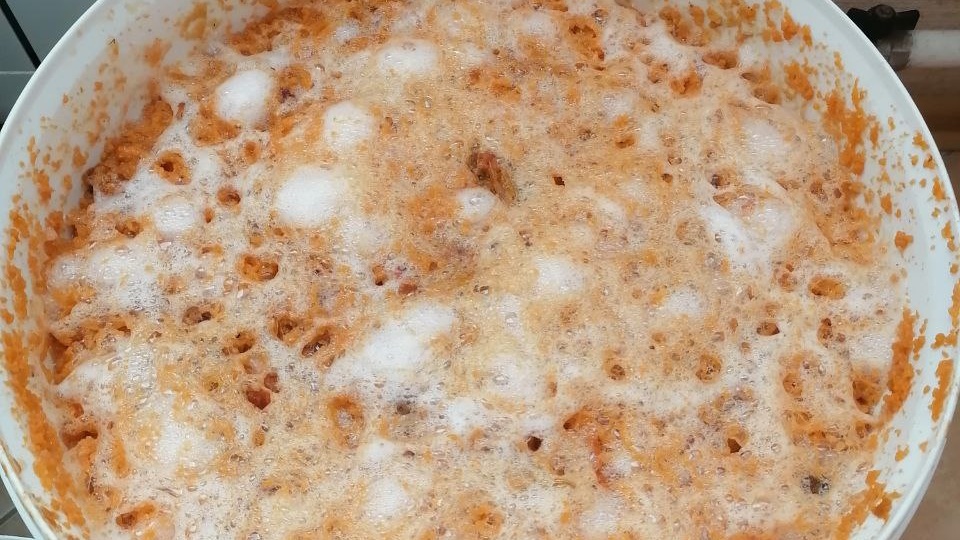 Можно ли сделать ИДЕАЛЬНЫЙ самогон в домашних условиях?