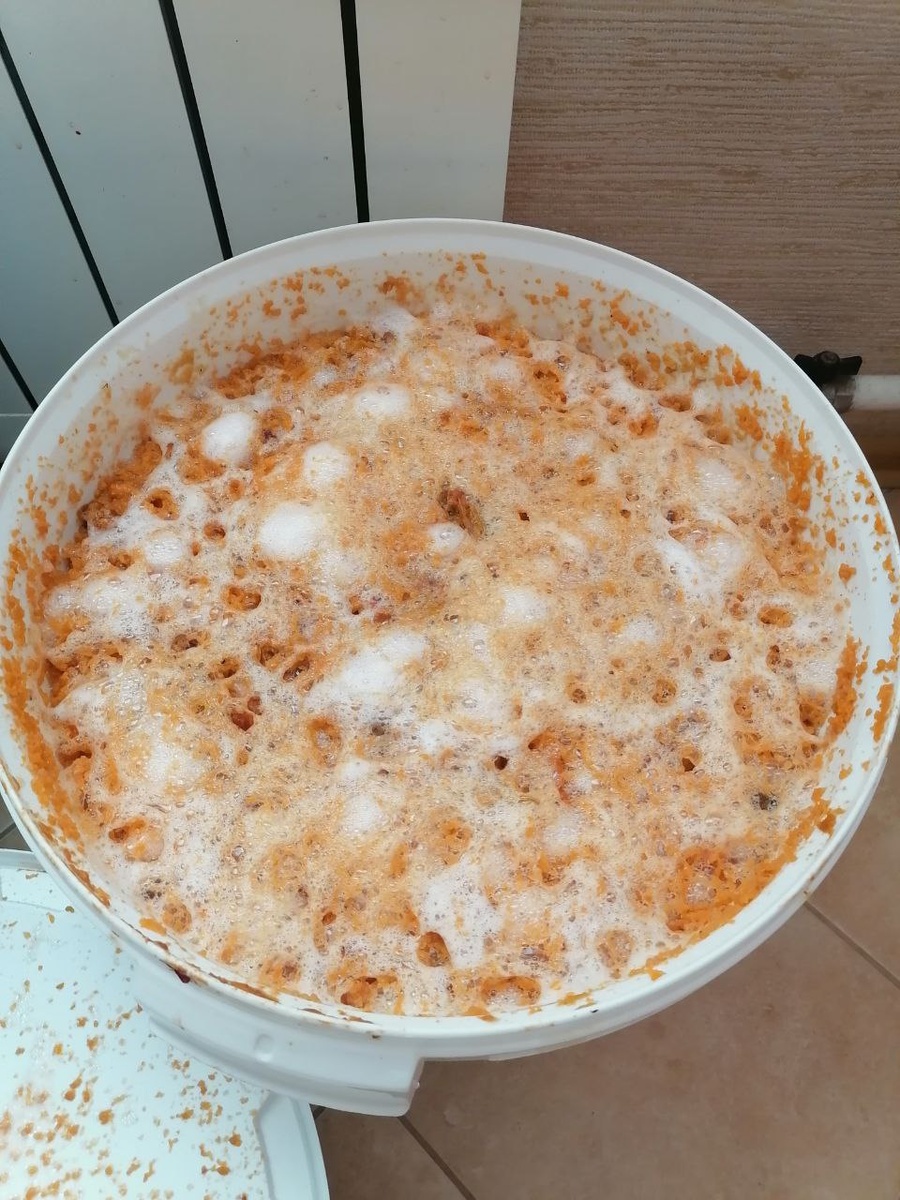 Моя легендарная абрикосовая брага (разлетелась по всей кухне в итоге).