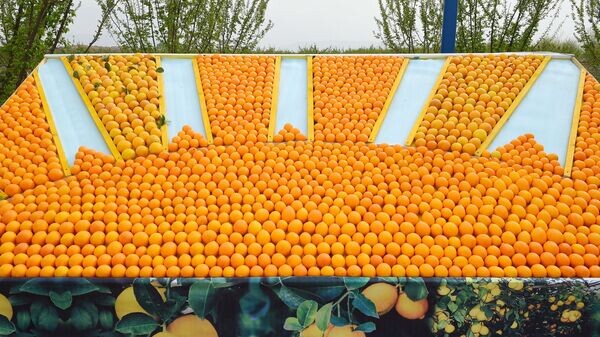    © Foto / Пресс-служба Президента РТ