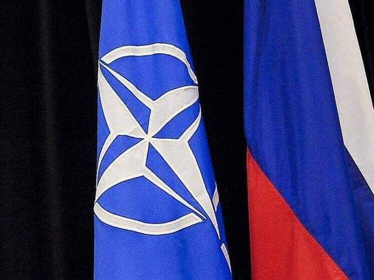 Фото: Wiktor Dabkowski/Global Look Press
