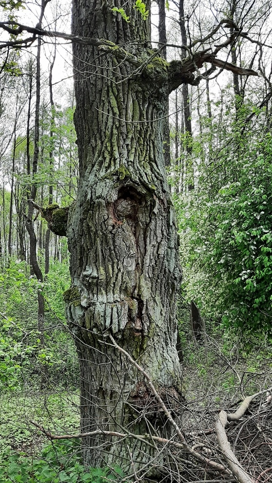    Фото: Владимир Сиверин.