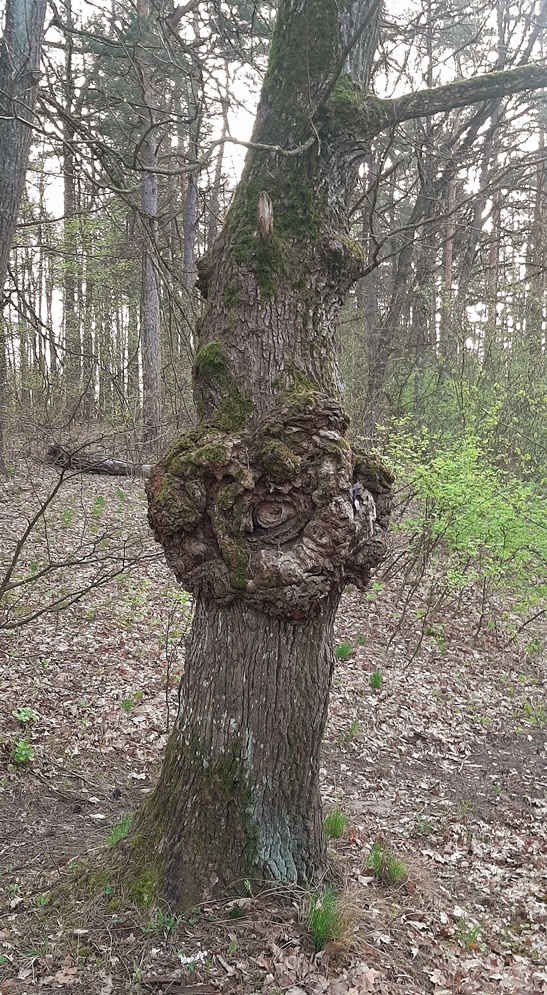    Фото: Владимир Сиверин.