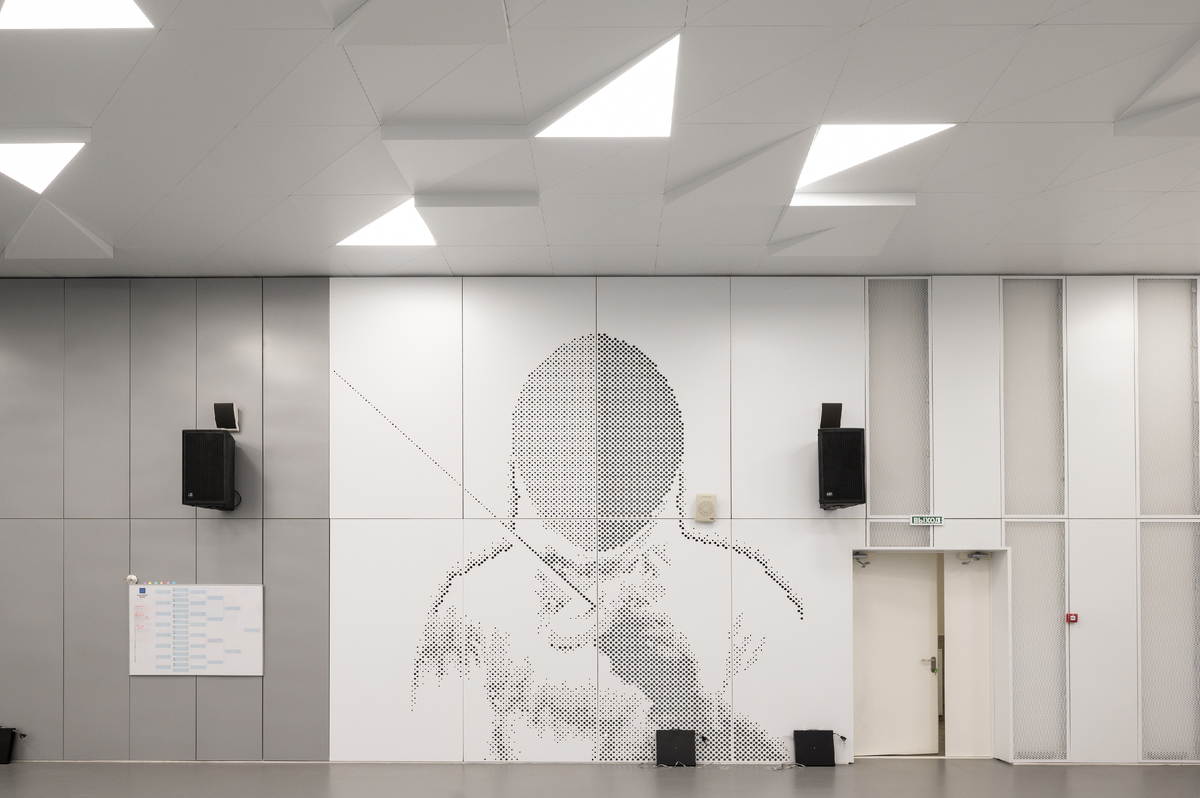 Перфорация на стене в спортивном комплексе им. А.С. Рахлина, Санкт-Петербург