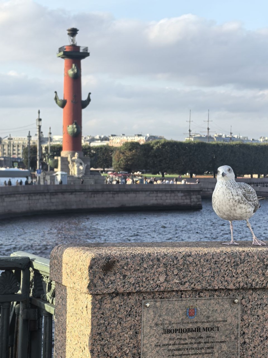 Авторское фото