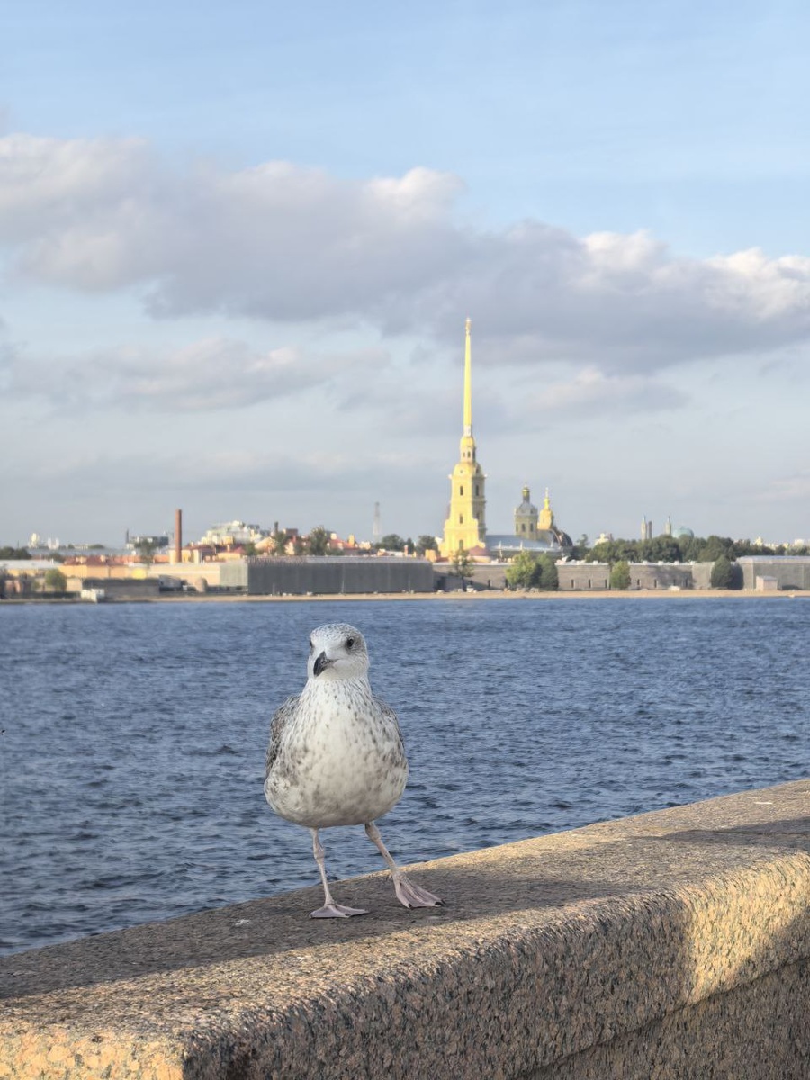 Авторское фото