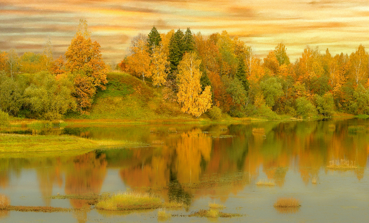 фото:Sergey Metelitsa/Global Look Press