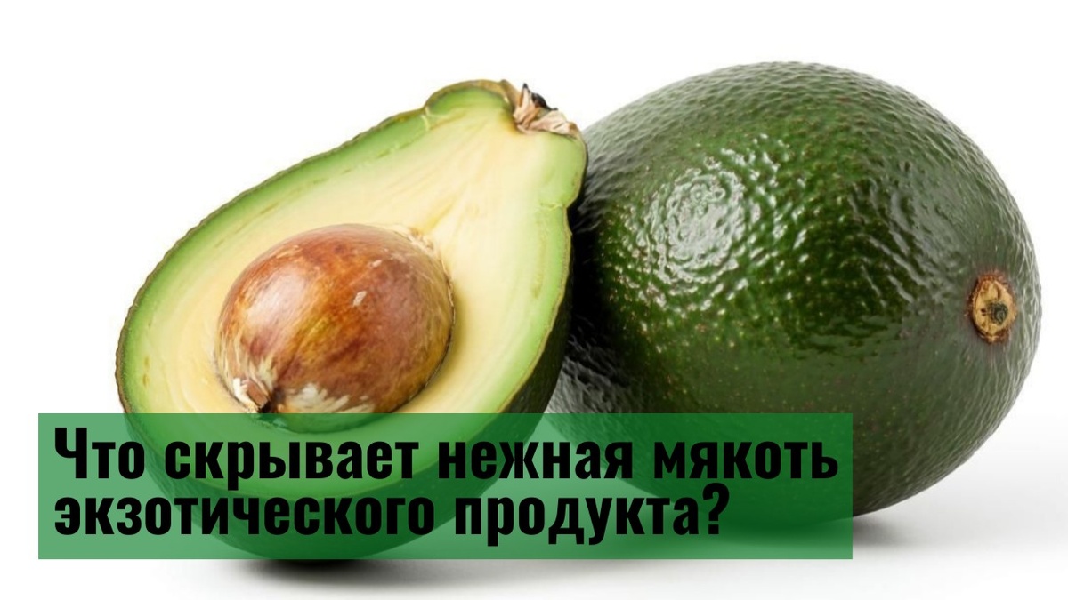 Фрукт авокадо