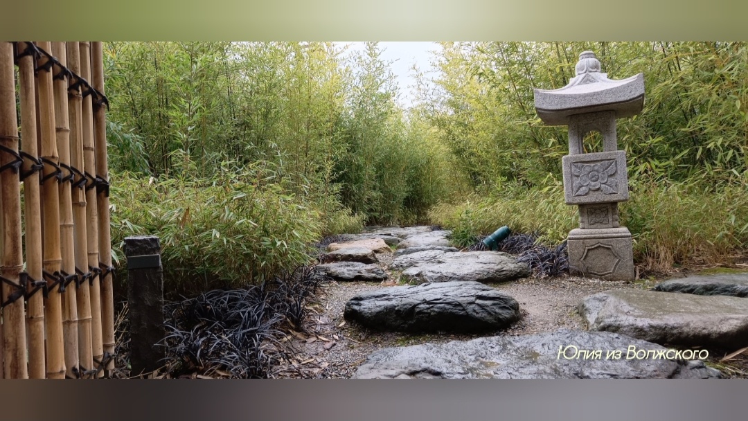 Это фото сделано не на входной зоне (чуть дальше) Просто для примера. Да-да, это январь:) 