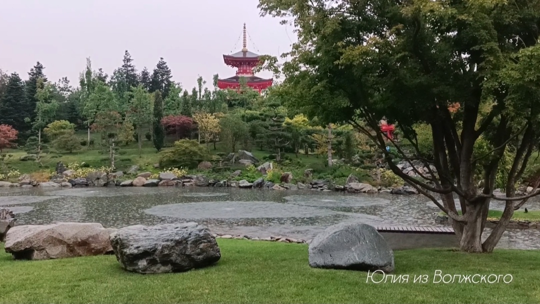 Вела съёмку, когда пошел довольно сильный дождь:) 