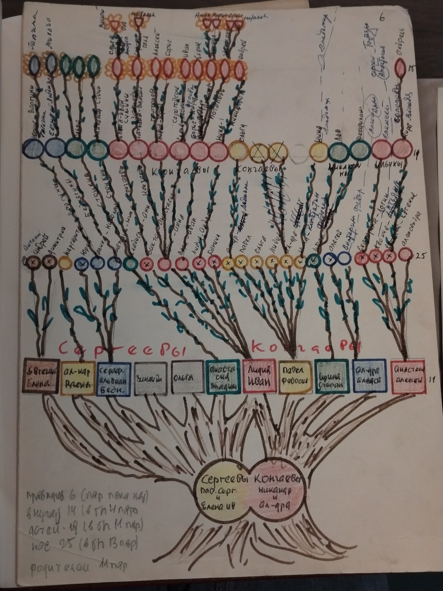 Родословное древо Кончаевых. Составлено и нарисовано Б. И. Кончаевым