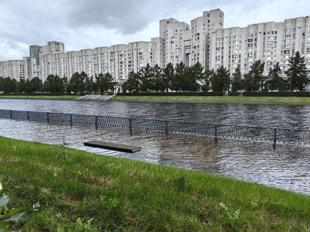 Фото: Вечерний Санкт-Петербург
