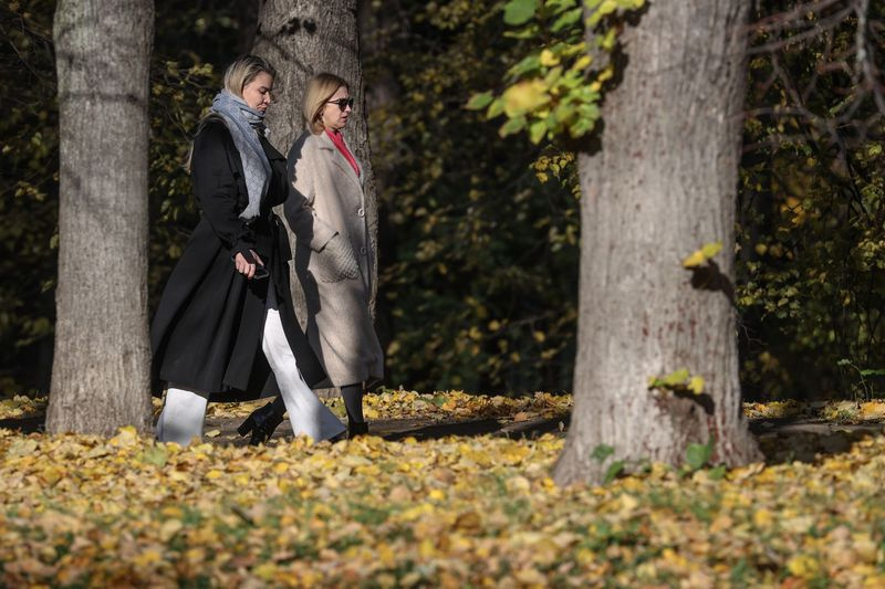    Сергей Булкин/NEWS.ru