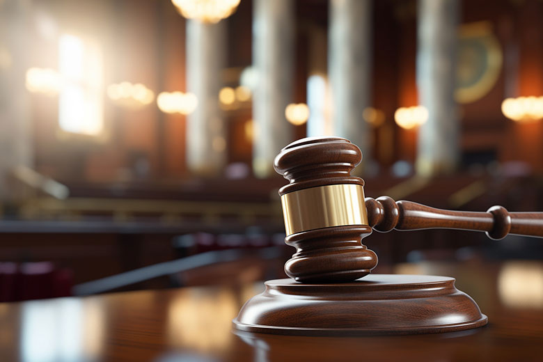    Александра Погиба/NEWS.ru