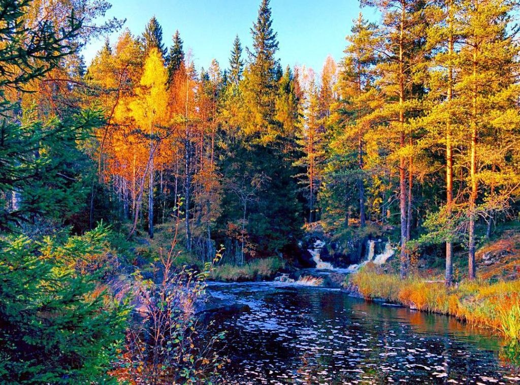 Все фото и картинки из интернета