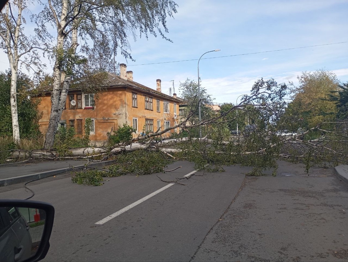    Фото: "Голиковка-Зарека | Петрозаводск"