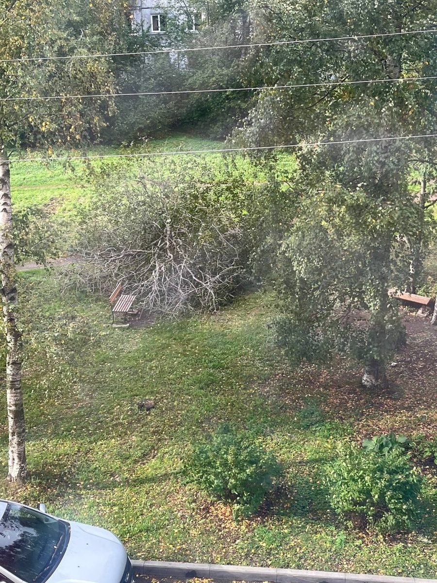 Фото: «Октябрьский и Первомайский | Петрозаводск»  📷

