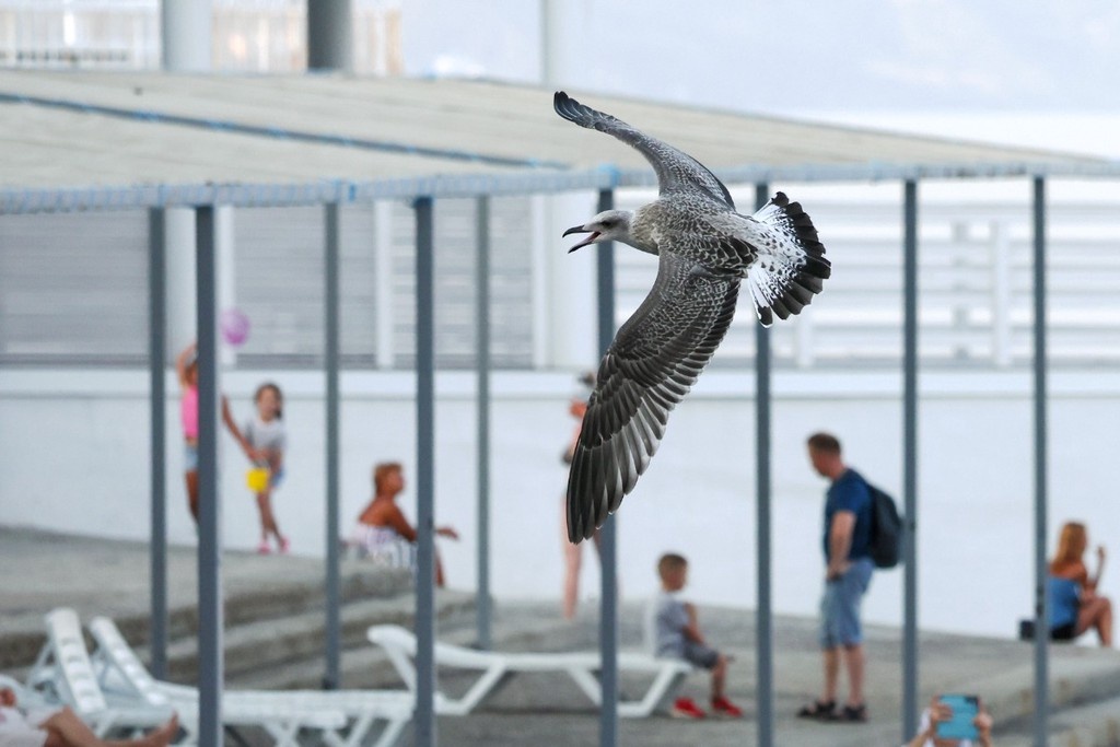    Фото © Сергей Мальгавко / ТАСС