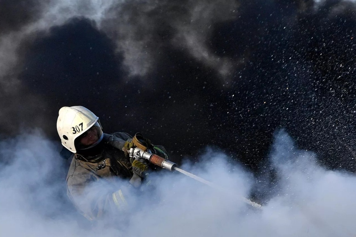    Фото: Павел Лисицын, источник: ria.ru