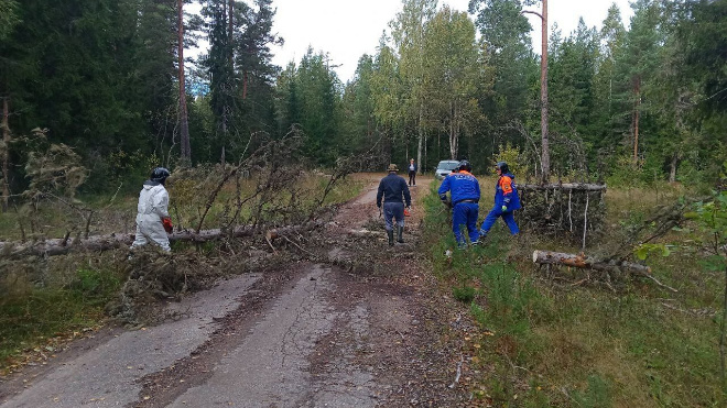 Фото: аварийно-спасательная служба Ленобласти