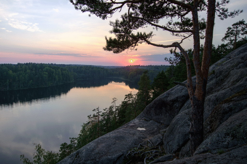 Источник: https://voop.spb.ru/news/6247/