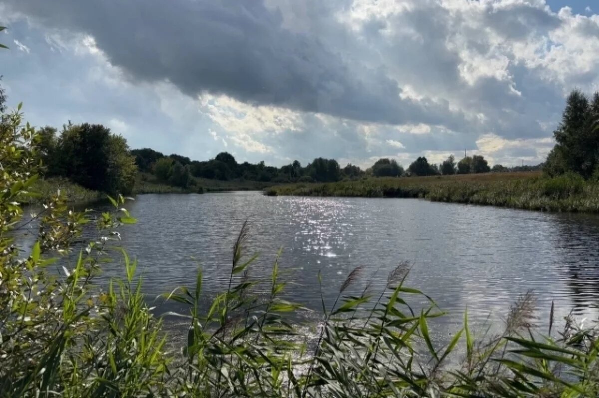    В Омске для родителей несовершеннолетних вводят новые штрафы