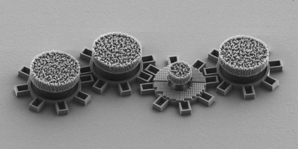 Фото: Gan Wang/SWNS