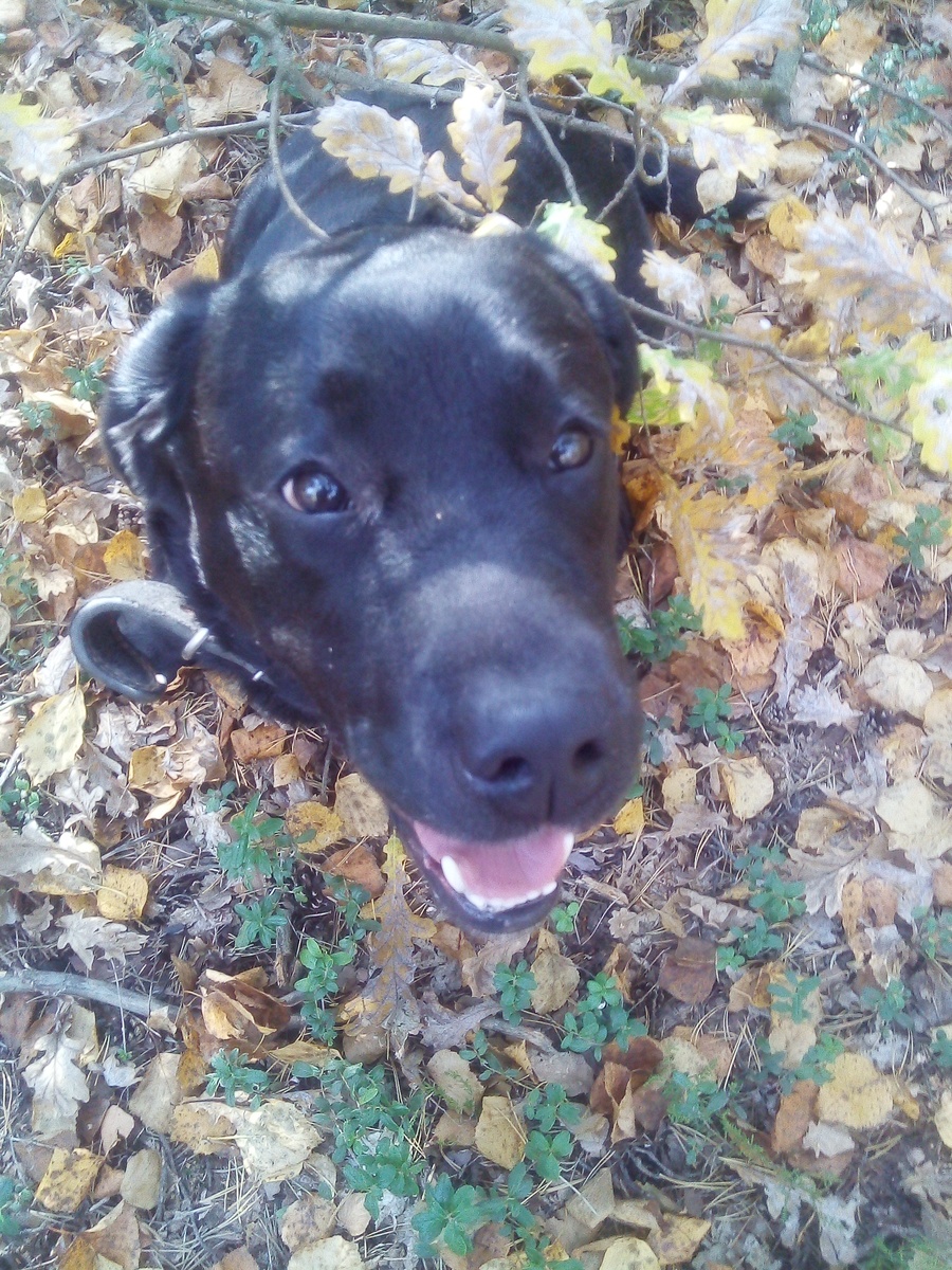 Фото автора.