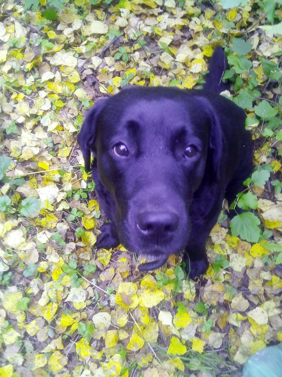 Фото автора.