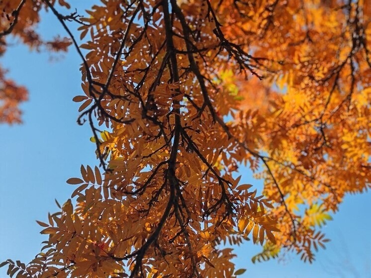   МК в Бурятии