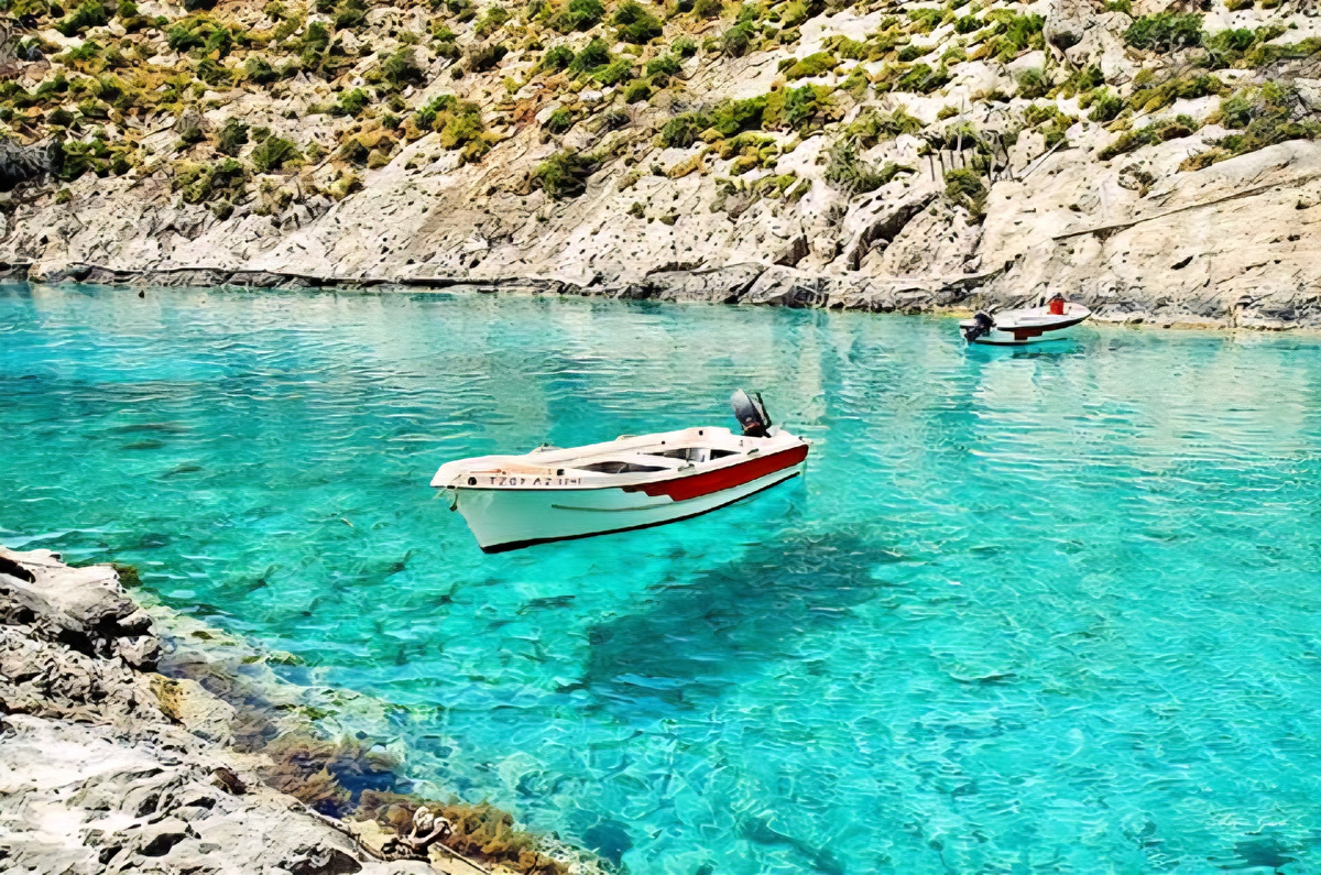 Фото яндекс картинки