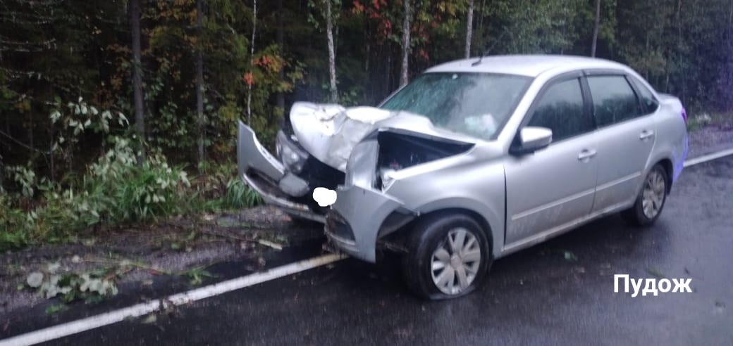    Фото: Госавтоинспекция Карелии / ВК