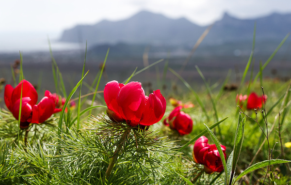 Сергей Мальгавко/ТАСС