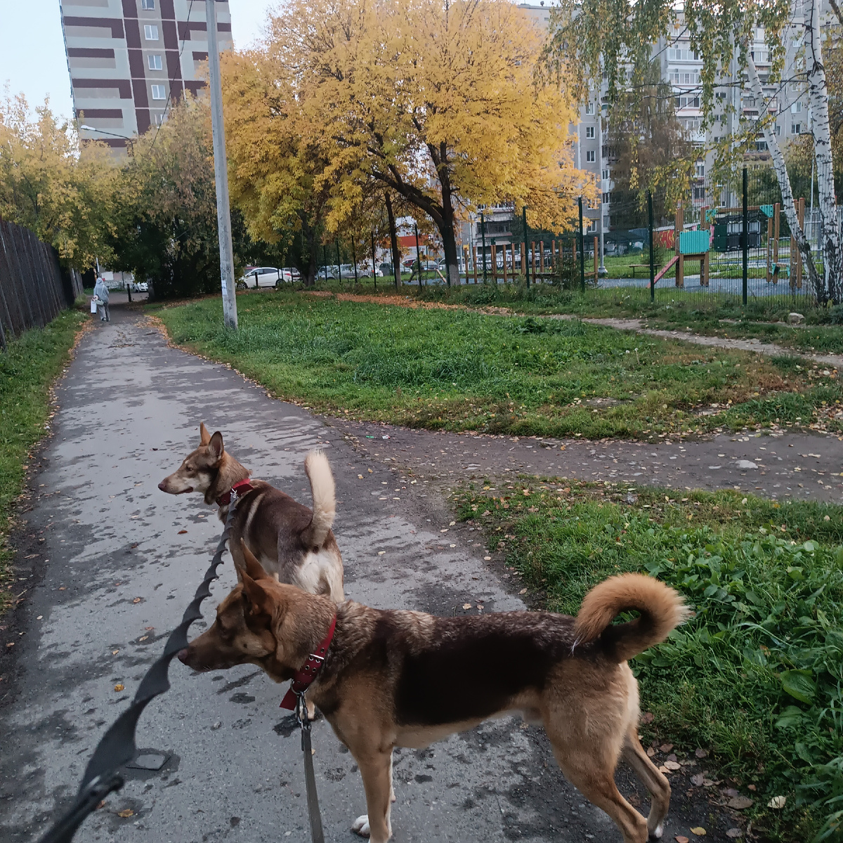 Стартуем!Как же красиво!