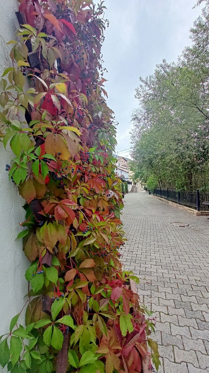 Здесь и далее - фото автора.