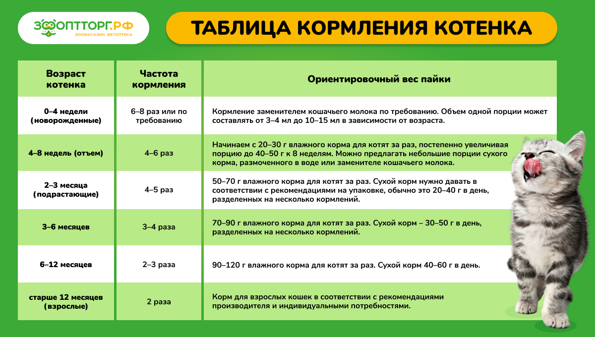 Нормы кормления котёнка по возрасту