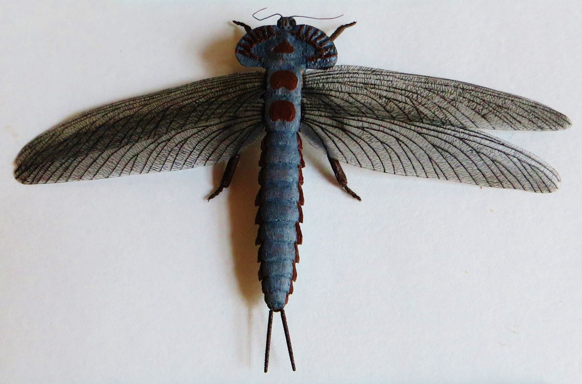 Диктионеврид