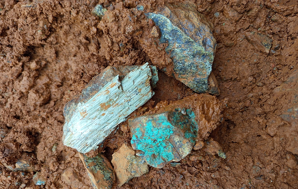 KHAYRIL NIEZAM/Shutterstock/FOTODOM