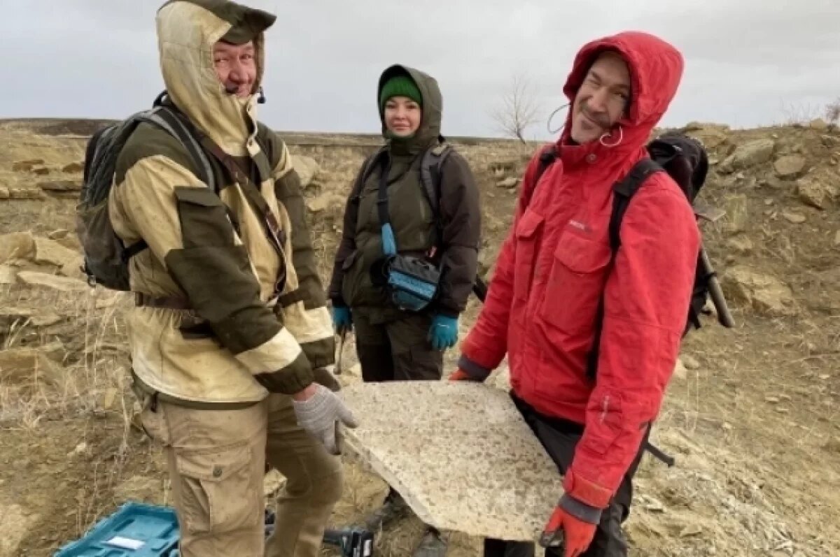    Следы невиданных зверей.