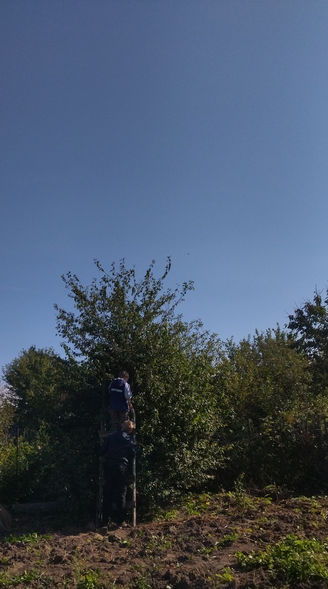 Фото автора