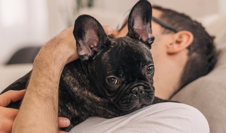 Со мной, хозяин, ты никогда не пропадёшь