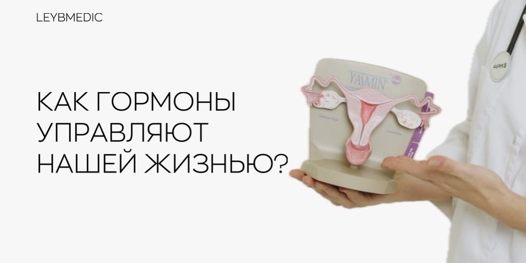 Как гормоны управляют нашей жизнью?