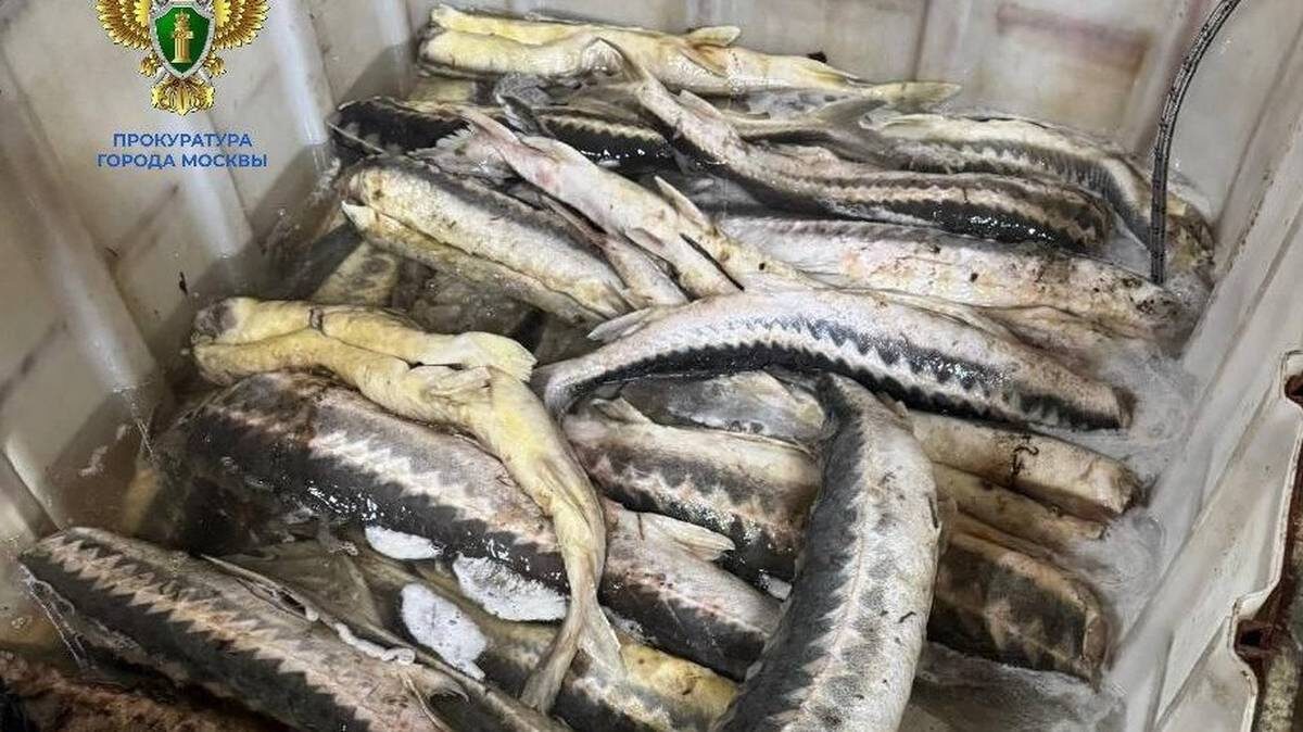   Фото: Прокуратура Москвы