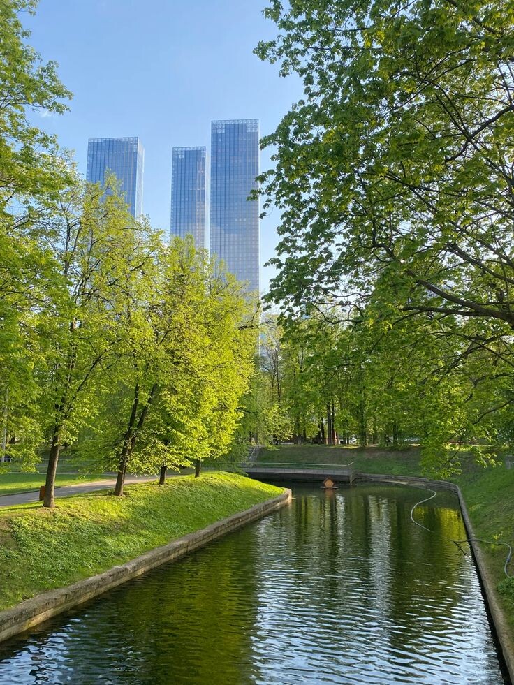 Парк напротив Москва Сити. Отличное место для отдыха с кофе)