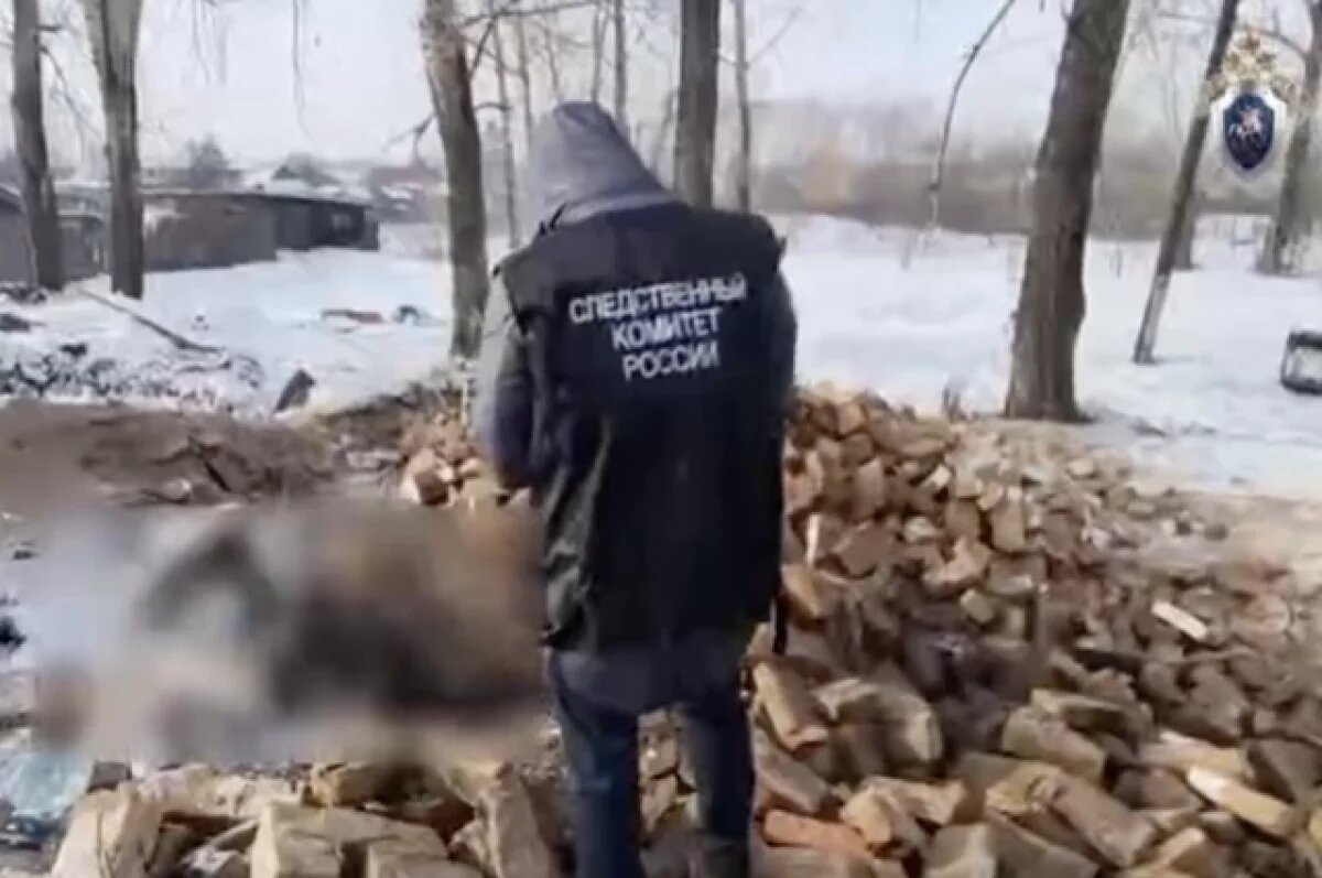    Смерть в «заброшке».