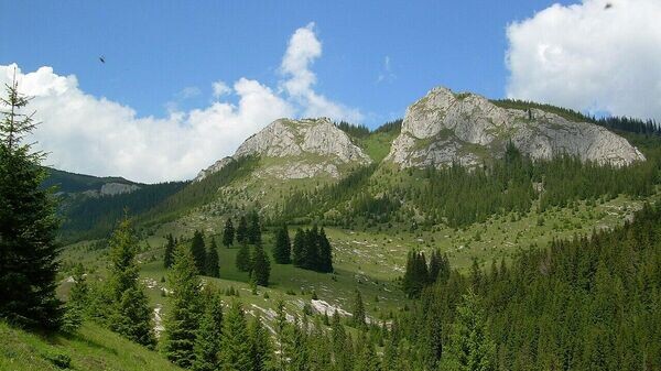    © Фото : Public domain