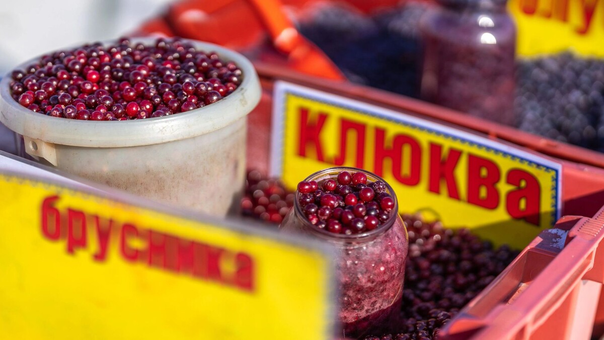    Клюкву для традиционных блюд используют свежую и замороженную. Фото: Фёдор Воронов / «Ямал-Медиа»