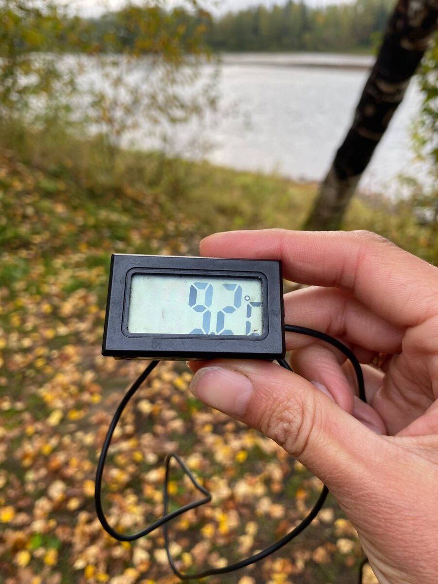 Как мало нужно для счастья!