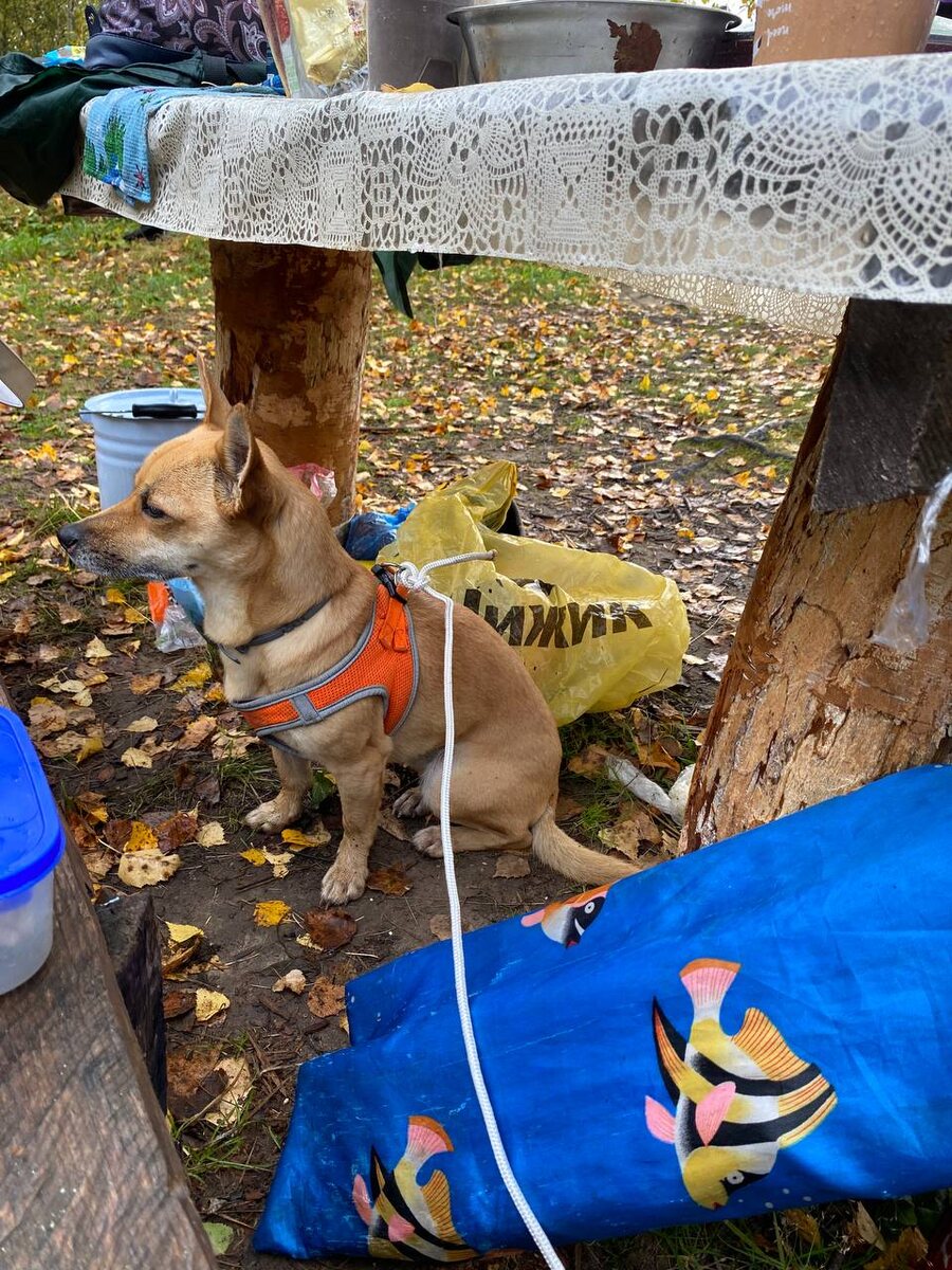 Обиделась...ну-ну