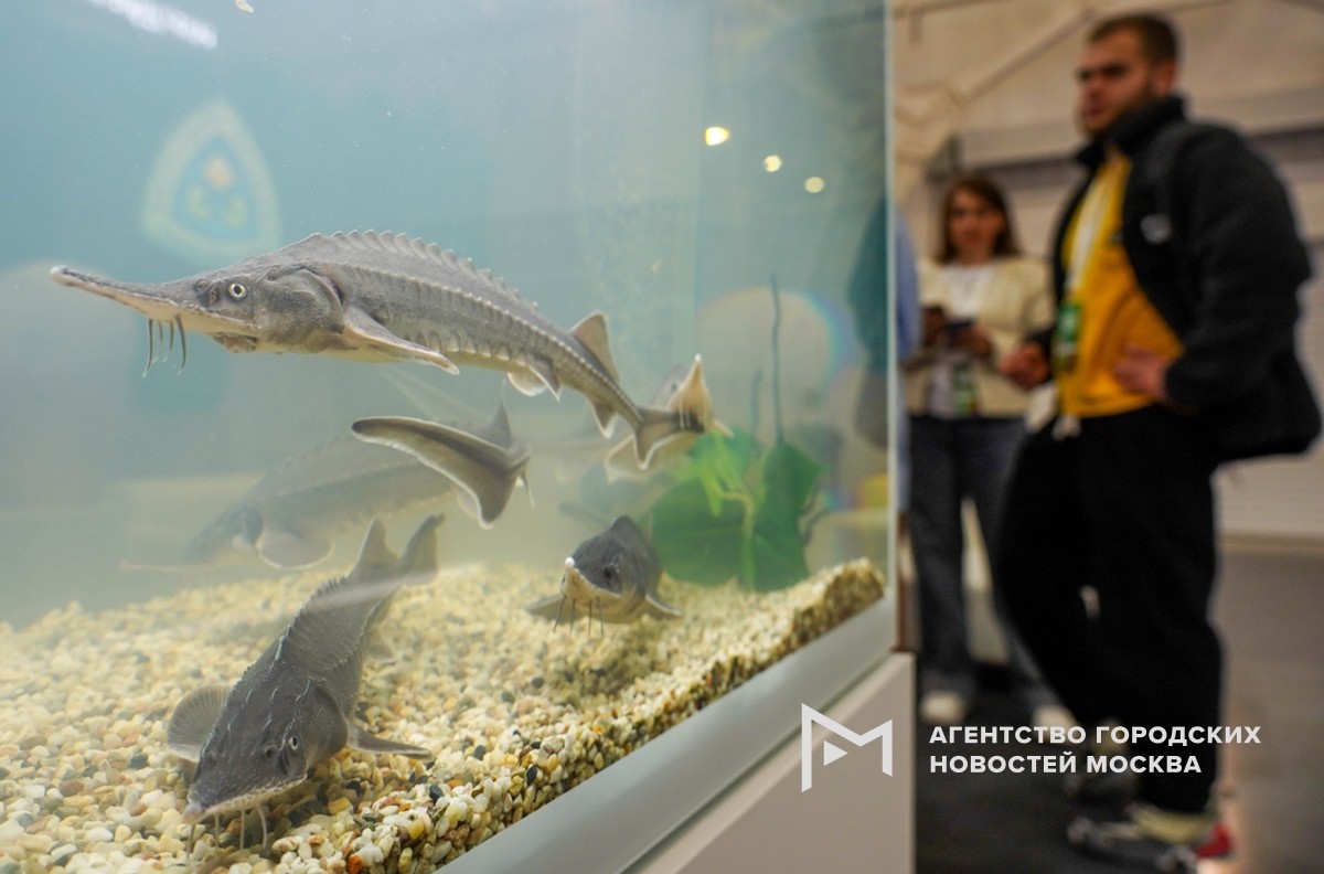 Фотограф: Александр Авилов